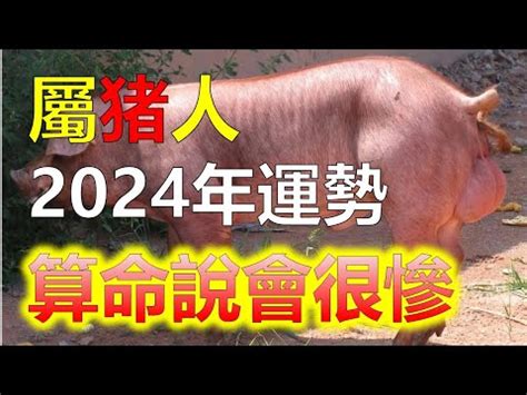 2024豬年運程1971|71猪人2024年全年运势运程 71年属猪2024年运势及运程每月运程